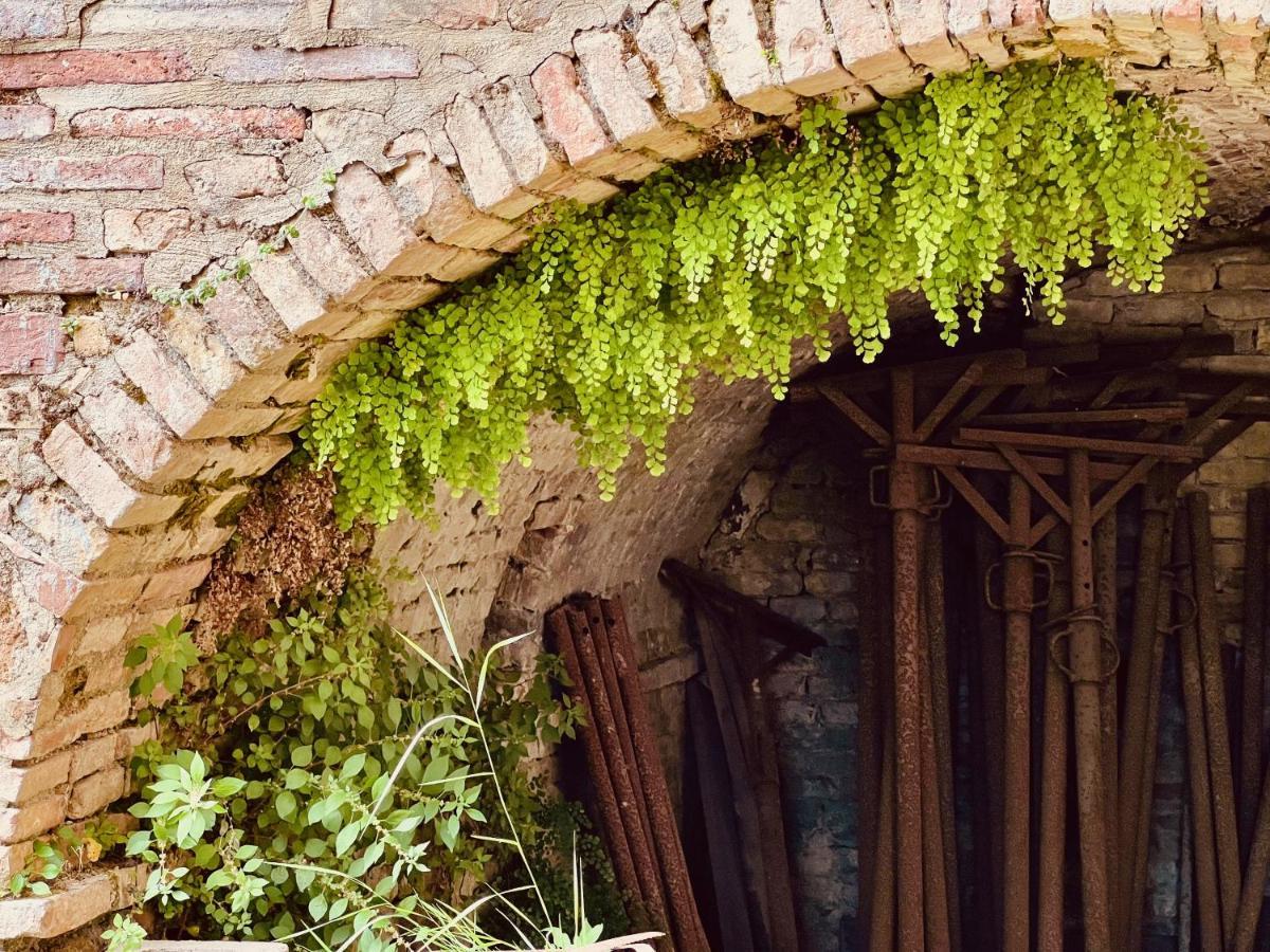 Le Fonti Di San Gimignano Apartment ภายนอก รูปภาพ